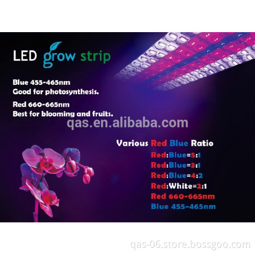 12 24v 600leds 2835 665nm 465nm Flexible Waterproof Led Grow Strip Red Blue 4:2 3:1 5:1